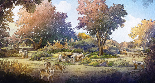 rendering of the Mexican wolves exhibit